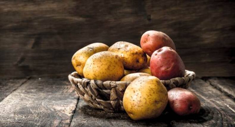 7 natural remedies that you should always have at hand