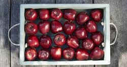 An apple a day can keep skin problems away