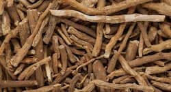 Health benefits of ashwagandha