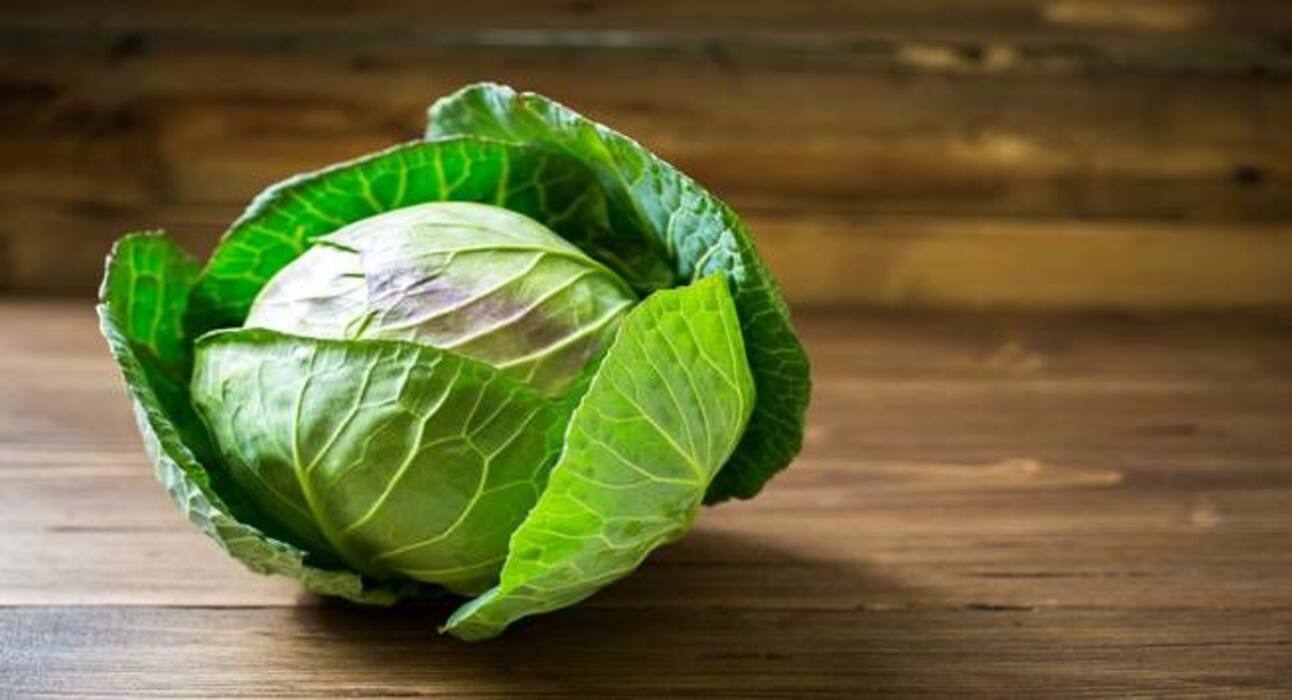 Foods to eat if you have kidney disease