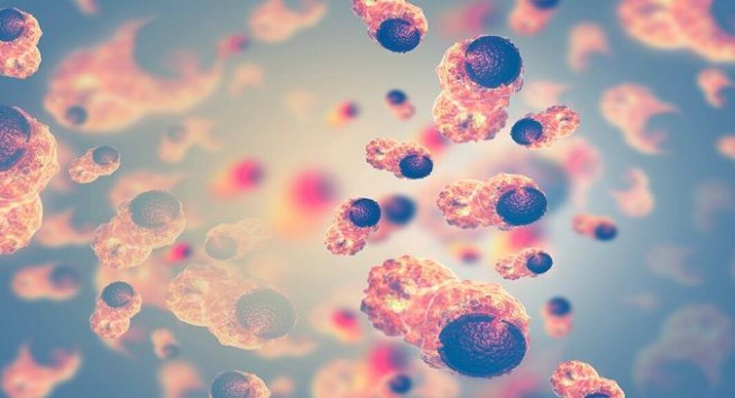 Top 5 havoc that Bisphenol A can cause to your health