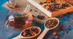 DIY premium herbal tea: Make your own blends