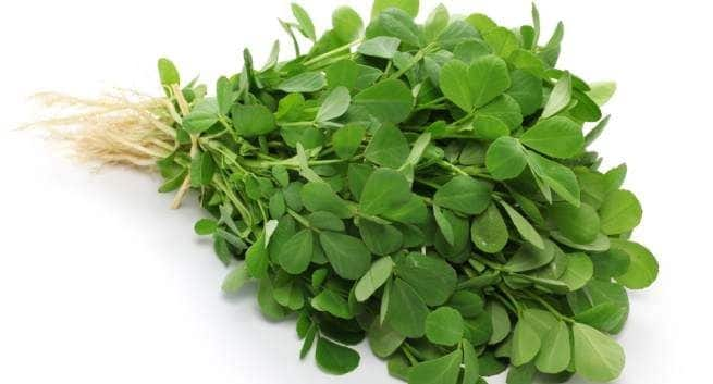 Fenugreek and pregnancy