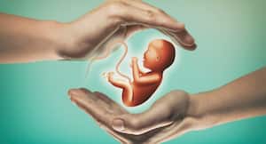 Fertility treatment: Storing vitrified embryos longer reduces chances of pregnancy