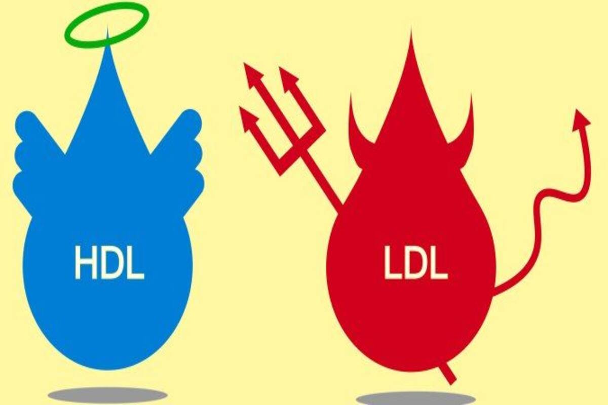 Everything You Need To Know About Ldl And Hdl Cholesterol Thehealthsite Com