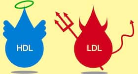 Everything you need to know about LDL and HDL cholesterol Everything you need to know about LDL and HDL cholesterol