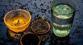 Try Ginger And Turmeric Infusion For A Healthier Monsoon Experience