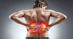 Natural cures for kidney stones to stay away from the operation theatre