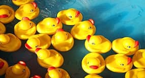 Robot ducks to comfort children with cancer in US hospitals