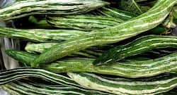 7 fabulous health benefits of snake gourd