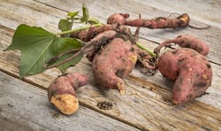 Sweet potato leaves have several health benefits too