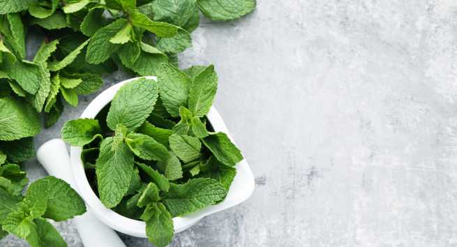 7 ways to use tulsi to banish acne and acne scars TheHealthSite