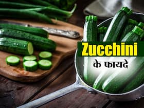 Zucchini in hindi : इन 9 कारणों से सेहत के लिए खजाना है जुकिनी! शरीर को मिलते हैं ये गजब के फायदे Zucchini in hindi : इन 9 कारणों से सेहत के लिए खजाना है जुकिनी! शरीर को मिलते हैं ये गजब के फायदे