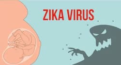 Now a new method of checking Zika virus replication in human body