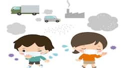 वायु प्रदूषण इन 5 मानसिक प्रॉबल्म्स की बनता है वजह