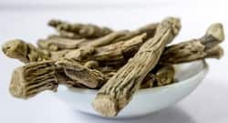 Here’s why you need to add Ashwagandha in your diet