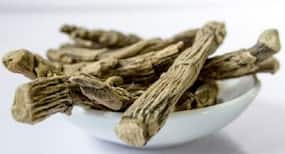Here’s why you need to add Ashwagandha in your diet