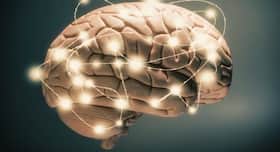3 aerobic exercises for optimum functioning of your brain