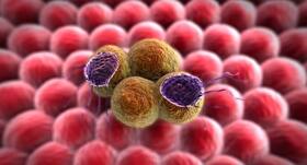 Did you know? Repurposing cancer drugs may help treat HPVs