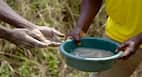 Cholera outbreak: 10 lives lost, over 300 left sick in Zimbabwe