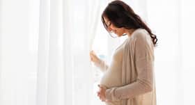 Babies of overweight mothers may develop self-regulation problems Babies of overweight mothers may develop self-regulation problems
