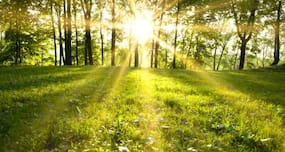 5 reasons why you should start your day early