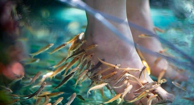 Woman loses all her toes of one feet to fish spa in Thailand ...