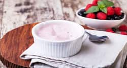 Sugar-free healthy flavoured yoghurt recipes