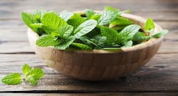 All about overactive bladder and treating it herbally