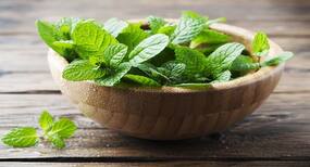 All about overactive bladder and treating it herbally