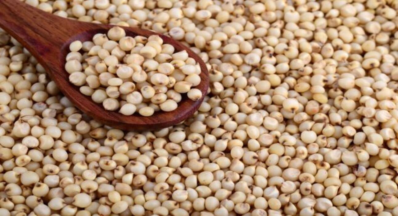 Replace white rice with these 5 low-carb alternatives