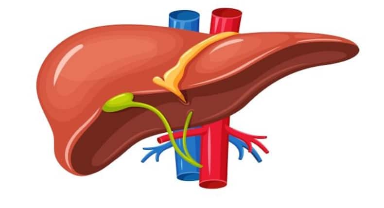 Gastroenterologist busts 5 myths about liver diseases