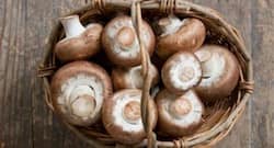 Include these copper-rich foods in your diet