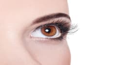 Want to get rid of dandruff on eyelashes and eyebrows? Try these fool-proof tips