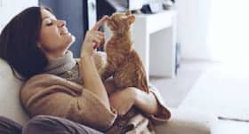 Science-backed physical and mental health benefits of pet cats
