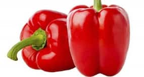 National Nutrition Week 2018: Healthy foods for kidney disease