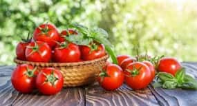 National Nutrition Week 2018: Health benefits of tomatoes