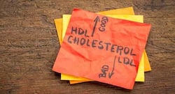 गुड कोलेस्ट्रॉल को बढ़ाने के लिए डायट में शामिल करें ये 5 फूड