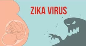 Zika outbreak: Total 50 test positive in Rajasthan