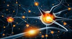Want to stay away from dementia? Charge up your brain this way