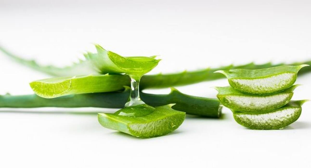 Healing diabetic foot ulcers the nature's way
