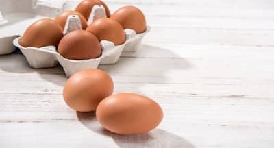 All about pros and cons of including eggs in daily diet | TheHealthSite.com