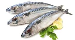 Eating fatty fish may reduce childhood asthma