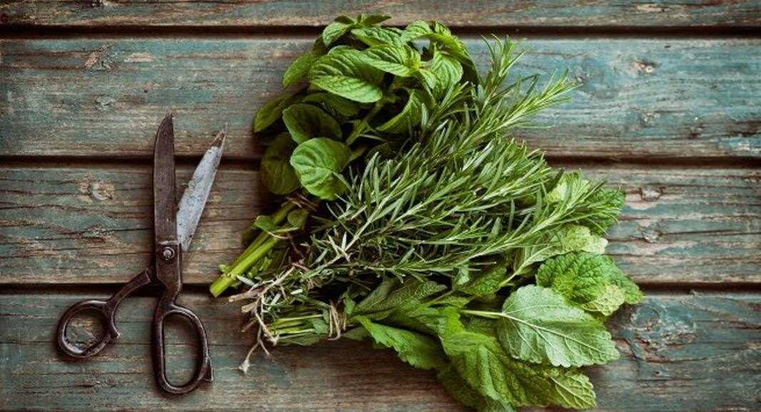 5 best foods for a healthy heart