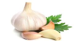 Foods to keep you warm during winter