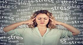 Increased level of stress leads to poor and weak memory, finds study Increased level of stress leads to poor and weak memory, finds study