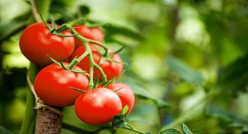 ऐसे घरेलू उपाय जो आसानी से दूर करेंगे आपके डार्क सर्कल्स