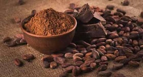 Cocoa powder may benefit people with obesity, reduce risk of fatty liver disease
