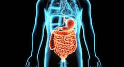 5 common digestive problems you need to tackle immediately