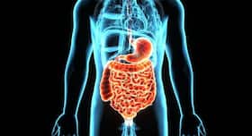 5 common digestive problems you need to tackle immediately